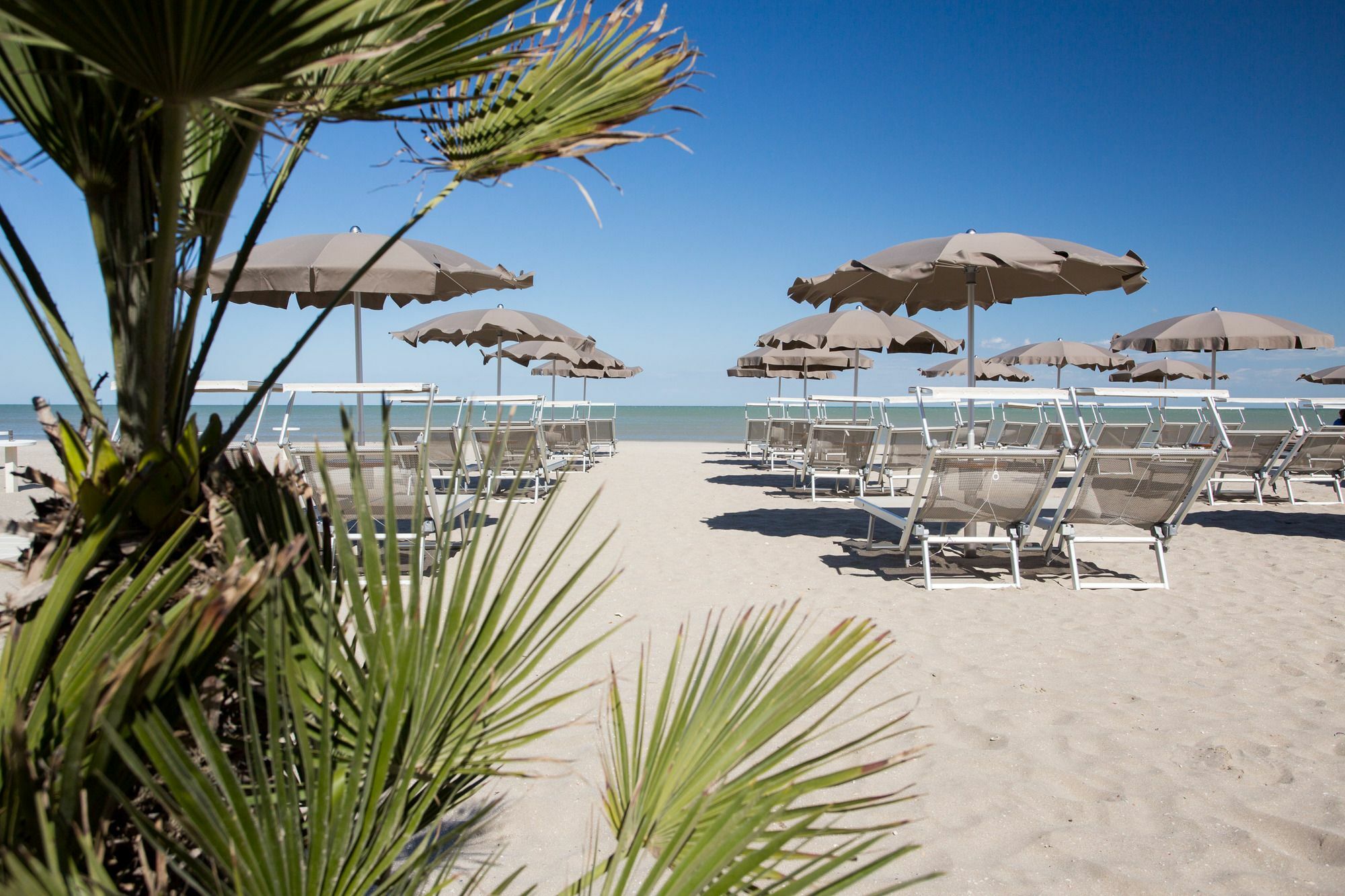 Hotel Majestic Milano Marittima Esterno foto